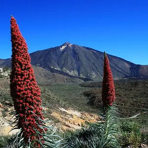 https://casa-ivonne-san-isidro.in-canary-islands.com